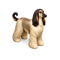 Afghan Hound isometric 3D icon with elegant long-haired dog breed styling