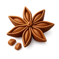 3D isometric icon of Anise