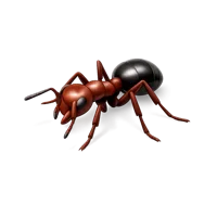 Ant isometric 3D icon, free downloadable insect graphic for nature and education projects