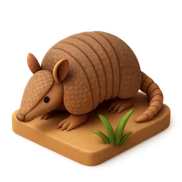 3D isometric icon of Armadillo