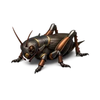 Armored cricket isometric 3D icon for wildlife, insect, and nature themed designs