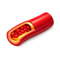 Artery isometric 3D icon for medical, anatomy, and healthcare visuals