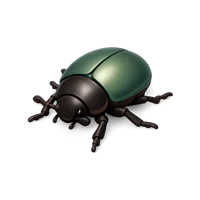 Beetle isometric 3D icon for nature, wildlife, and educational design projects