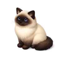 Birman Cat isometric 3D icon for pet, feline, and animal-themed designs