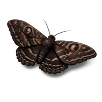 Black Witch Moth isometric 3D icon for wildlife, insect, and nature-themed designs