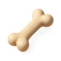 3D isometric icon of Bone