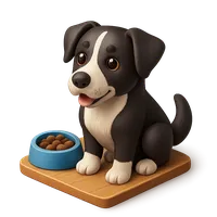 3D isometric icon of Borador