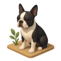 3D isometric icon of Boston Terrier