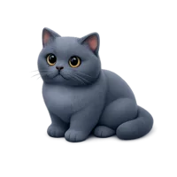 British Shorthair isometric 3D icon for pet, cat breed, and animal-themed design projects