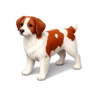 Brittany Spaniel isometric 3D icon for free download, suitable for pet, dog breed, and veterinary designs