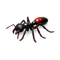 Bullet Ant isometric 3D icon for wildlife, insect, and rainforest-themed designs