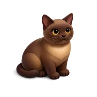 Isometric 3D Burmese Cat icon for pet, animal, and veterinary themed designs