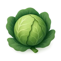 3D isometric icon of Cabbage