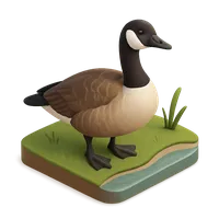 3D isometric icon of Canada Goose