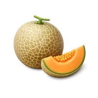 Cantaloupe isometric 3D icon for food, grocery, and fresh produce designs