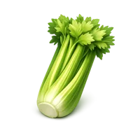 Celery isometric 3D icon for food, grocery, and healthy eating visuals