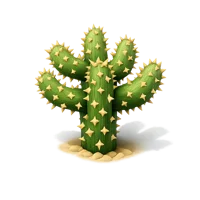 Cholla Cactus isometric 3D icon for desert plant, botanical, and nature themed designs