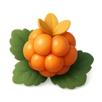 3D isometric icon of Cloudberry