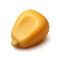 3D isometric icon of Corn Kernel