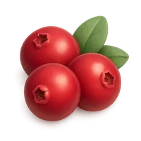 3D isometric icon of Cranberry