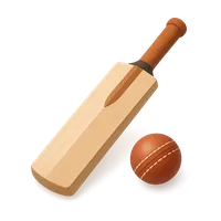 3D isometric icon of Cricket Bat