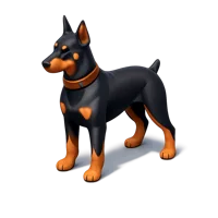 Doberman isometric 3D icon for pet, dog breed, and animal-themed designs
