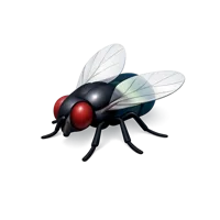 Fly isometric 3D icon, free downloadable insect illustration for nature, biology, and pest control designs.