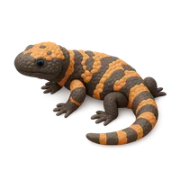 Gila monster lizard on rock