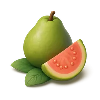 Fresh guava fruit cut open