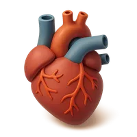 Isometric 3D icon of Human Heart 