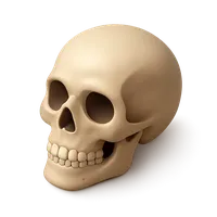 Isometric 3D icon of Human Skull 