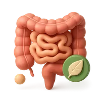 Isometric 3D icon of Intestine 
