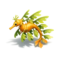 Leafy sea dragon isometric 3D icon for marine wildlife, aquarium, and ocean themed designs