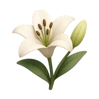 Isometric 3D icon of a lily, stylized vector illustration for digital icon sets