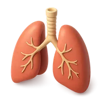 Isometric 3D icon of a lungs, stylized vector illustration for digital icon sets
