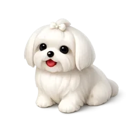 Isometric 3D Maltese Dog icon, free download for pet, veterinary, and animal-themed designs