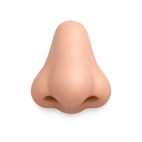 Front-facing nose 3D icon with medium skin tone in a premium non-isometric UI style, free to download.