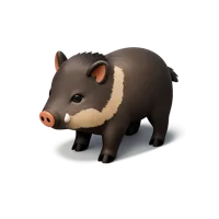 Peccary isometric 3D icon, free download for wildlife, zoo, and nature themed designs