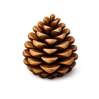 Pine cone isometric 3D icon, free download for nature, forest, and botanical themed designs