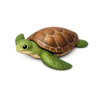 Isometric 3D sea turtle icon, free downloadable marine animal illustration for ocean and wildlife designs.