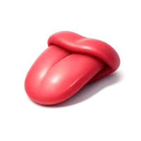 Isometric 3D tongue icon for anatomy, oral health, speech, and medical illustrations