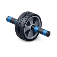 Ab Wheel 3D icon