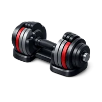 Adjustable Dumbbells 3D icon