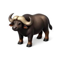 African Buffalo 3D icon