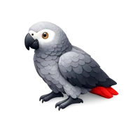 African Grey Parrot 3D icon
