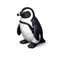 African Penguin 3D icon
