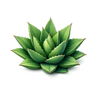 Agave Plant 3D icon