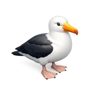 Albatross 3D icon