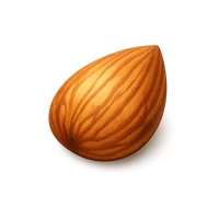 Almond 3D icon