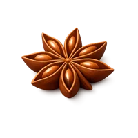 Anise 3D icon